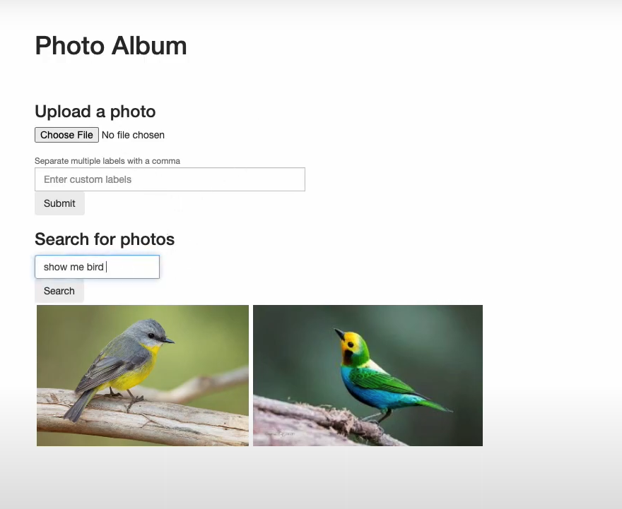 Intelligent Photo Album